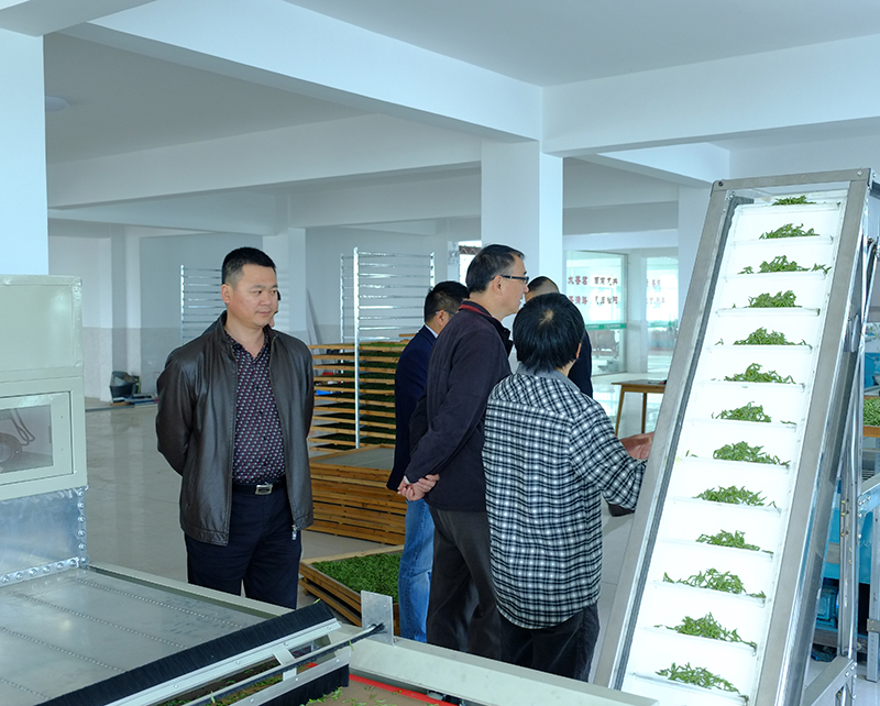 ʡũҵ���쵼-06